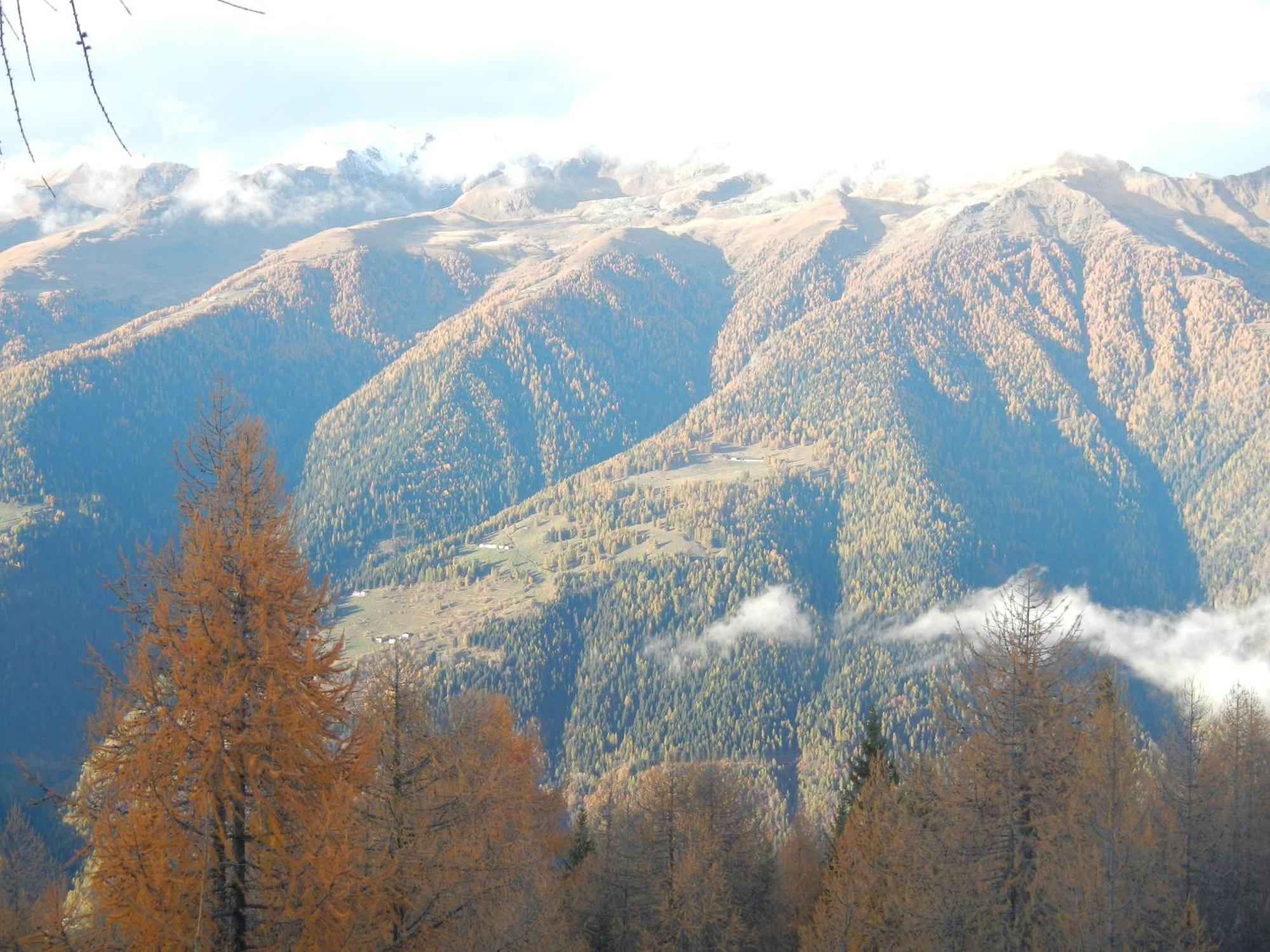 كوميزادورا Villetta Val Di Sole المظهر الخارجي الصورة