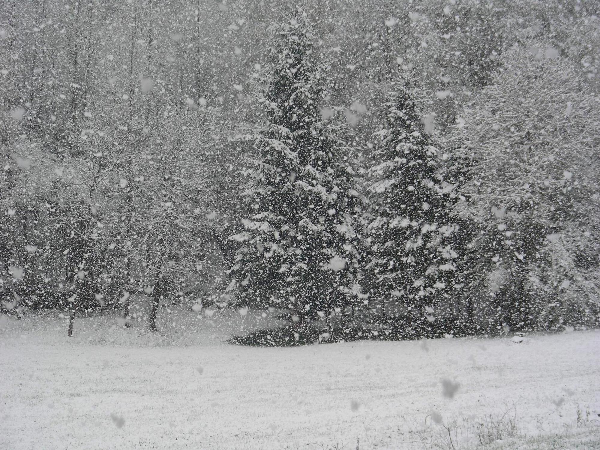 كوميزادورا Villetta Val Di Sole المظهر الخارجي الصورة