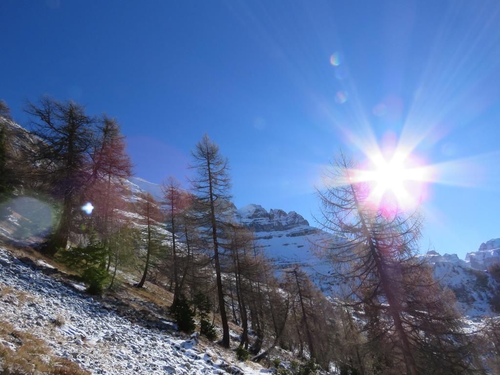 كوميزادورا Villetta Val Di Sole المظهر الخارجي الصورة
